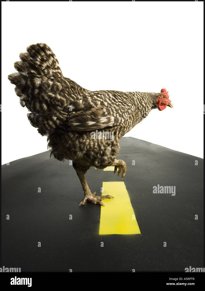 Spelers Overwinnen Chicken Road Casino in Nederland Volledig Online, chicken road slot